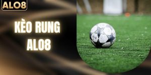 Bí Mật Phía Sau Kèo Rung Khiến Tỷ Lệ Đảo Chiều Phút Chót