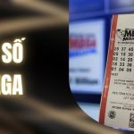 Xổ Số Mega Là Gì? Hướng Dẫn Theo Dõi Kết Quả Chi Tiết